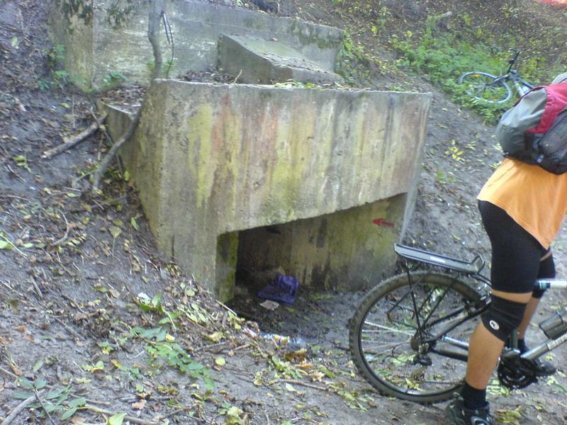    -     23.09.06 ($272)