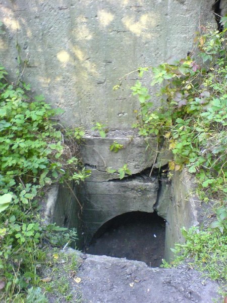    -     23.09.06 ($272)