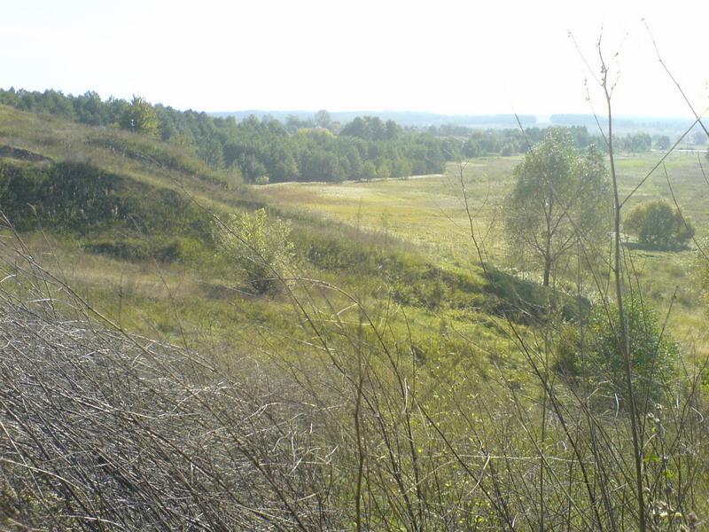    -     23.09.06 ($272)