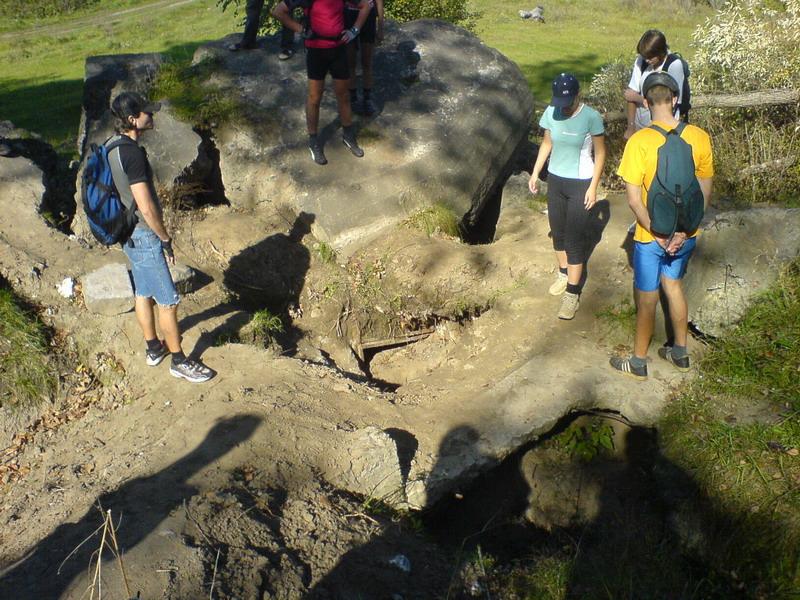    -     23.09.06 ($272)