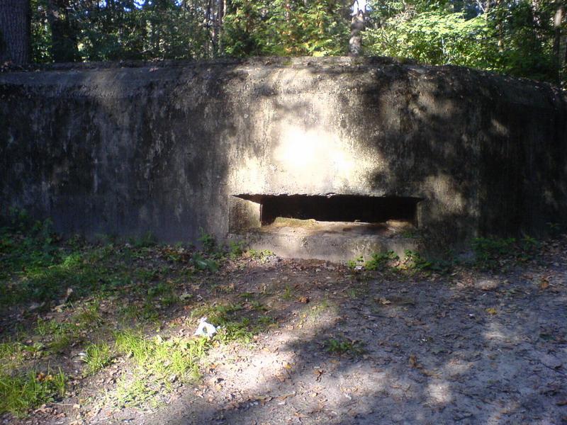    -     23.09.06 ($272)