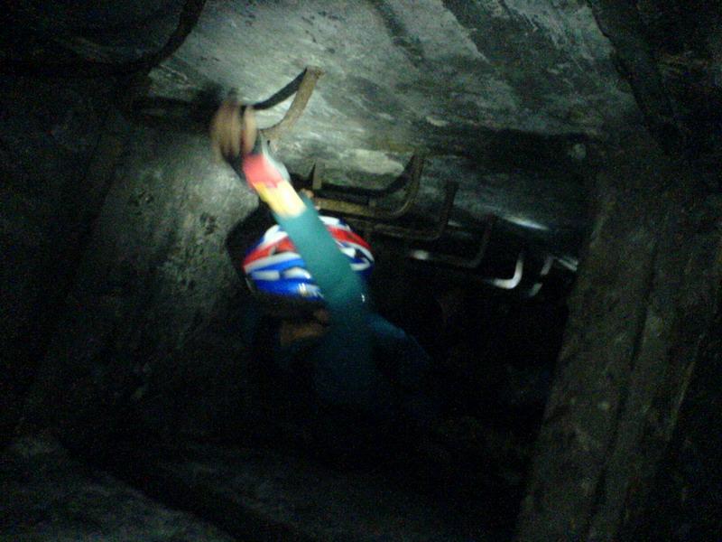    -     23.09.06 ($272)