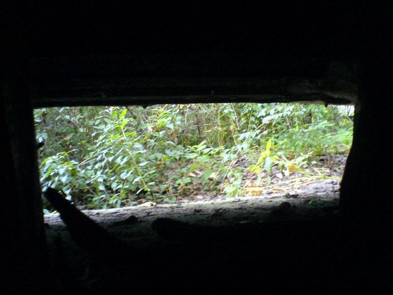    -     23.09.06 ($272)