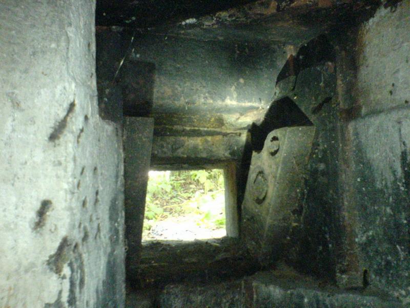    -     23.09.06 ($272)