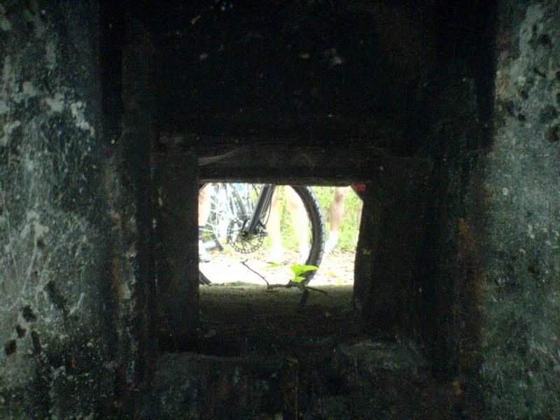    -     23.09.06 ($272)