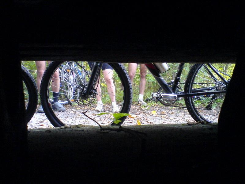    -     23.09.06 ($272)