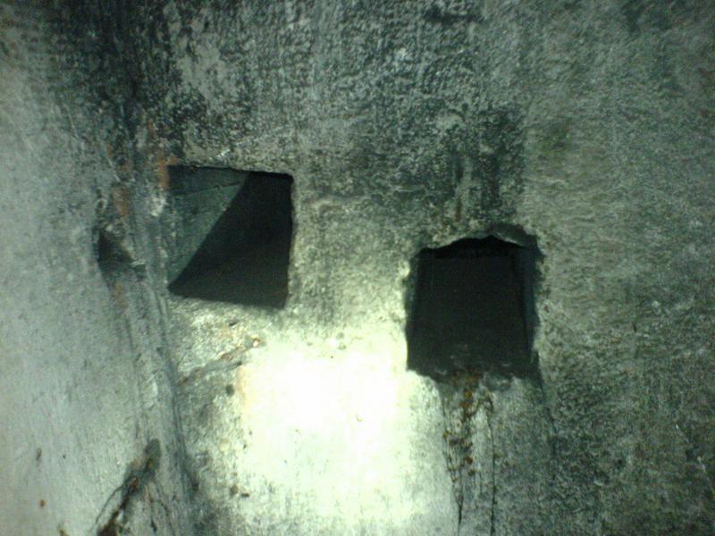    -     23.09.06 ($272)