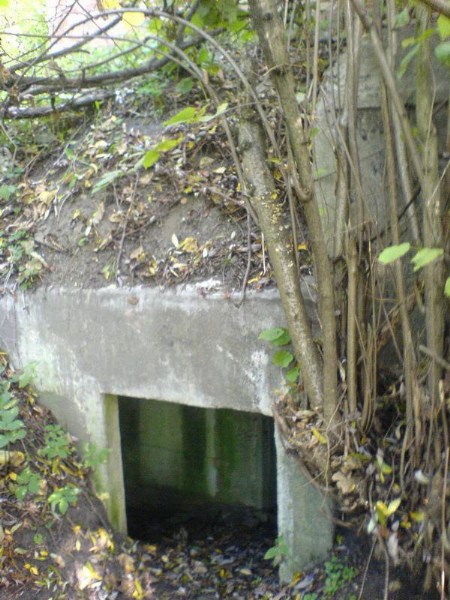    -     23.09.06 ($272)