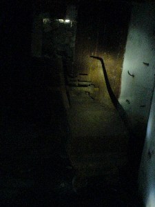    -     23.09.06 ($272)