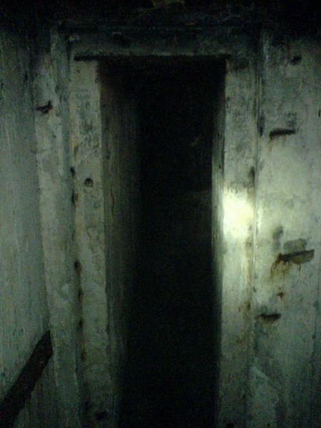    -     23.09.06 ($272)