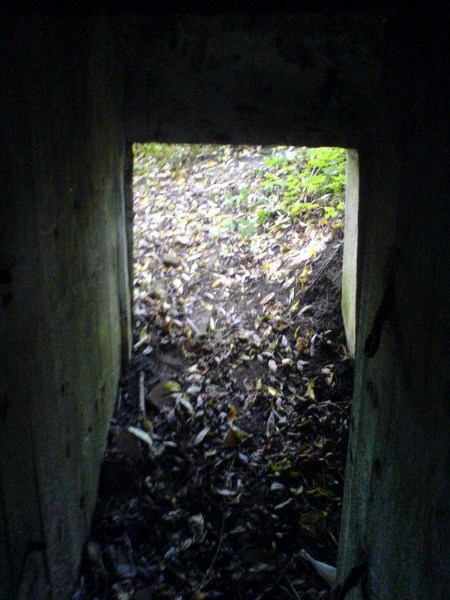    -     23.09.06 ($272)