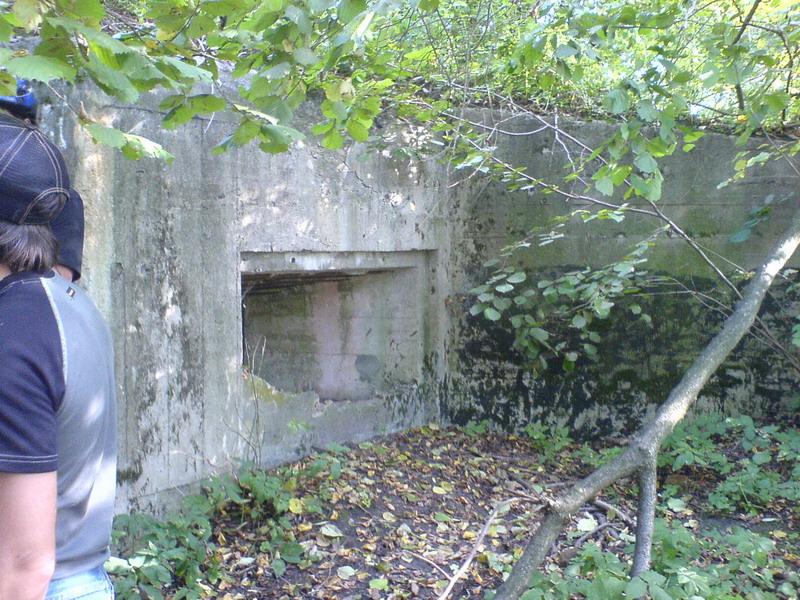    -     23.09.06 ($272)