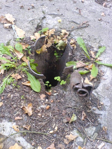    -     23.09.06 ($272)