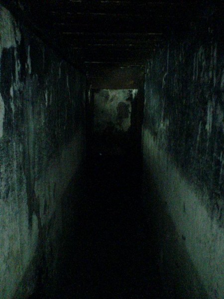    -     23.09.06 ($272)