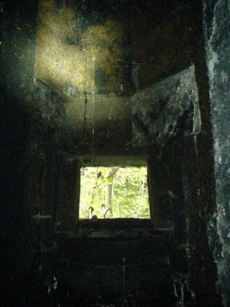    -     23.09.06 ($272)