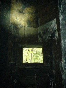    -     23.09.06 ($272)