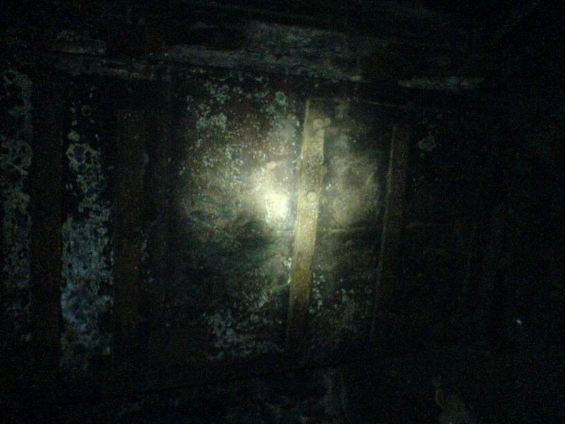    -     23.09.06 ($272)