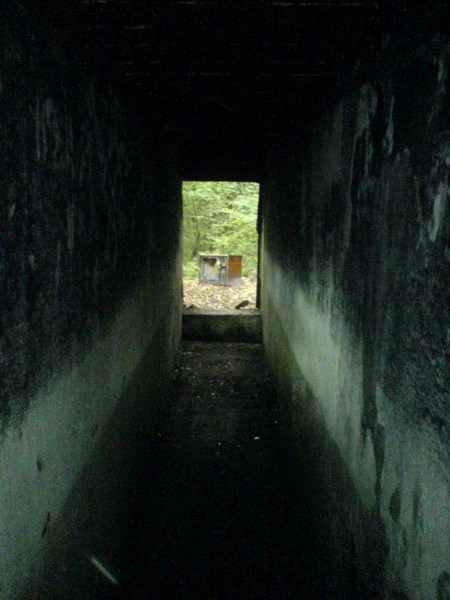    -     23.09.06 ($272)