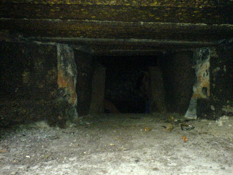    -     23.09.06 ($272)