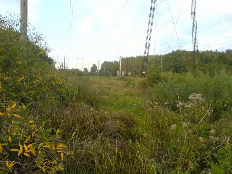    -     23.09.06 ($272)