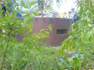    -     23.09.06 ($272)