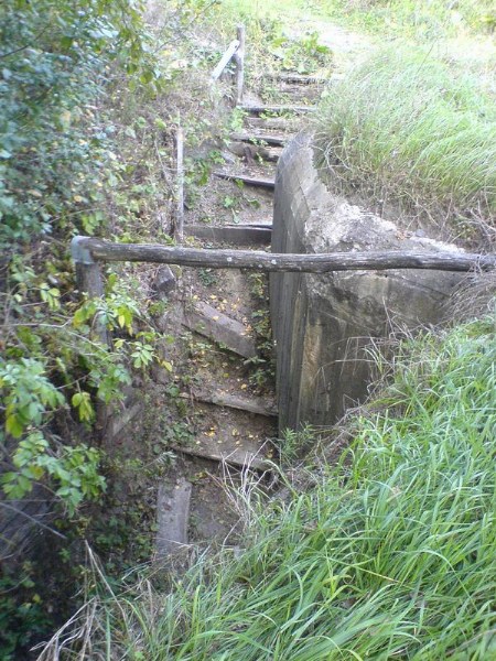    -     23.09.06 ($272)