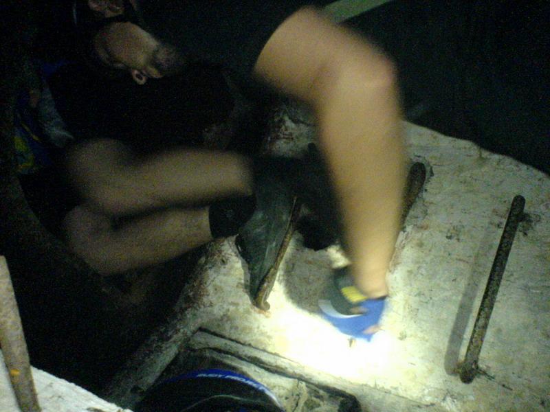    -     23.09.06 ($272)