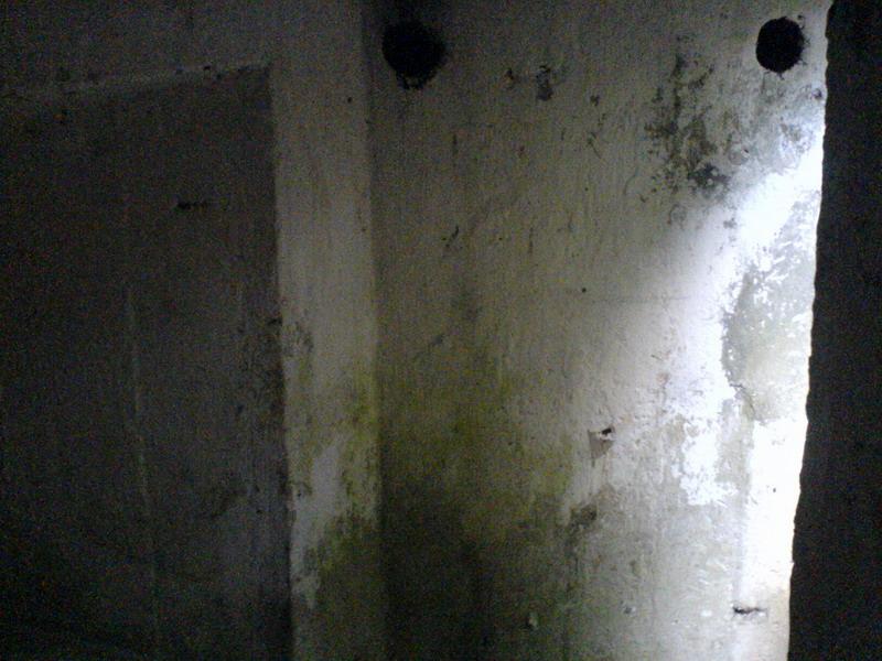    -     23.09.06 ($272)