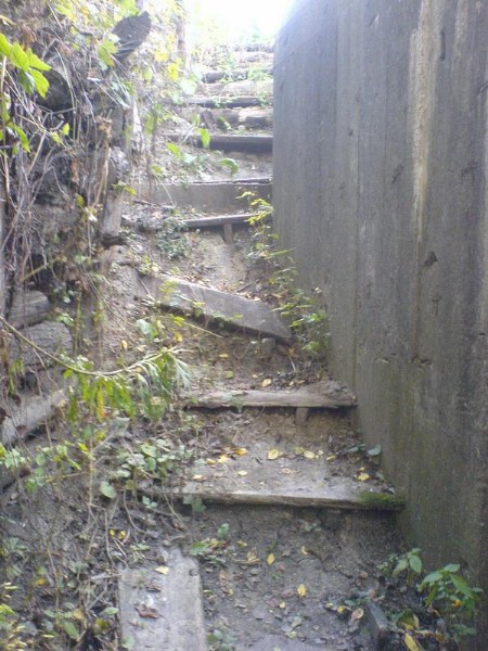    -     23.09.06 ($272)