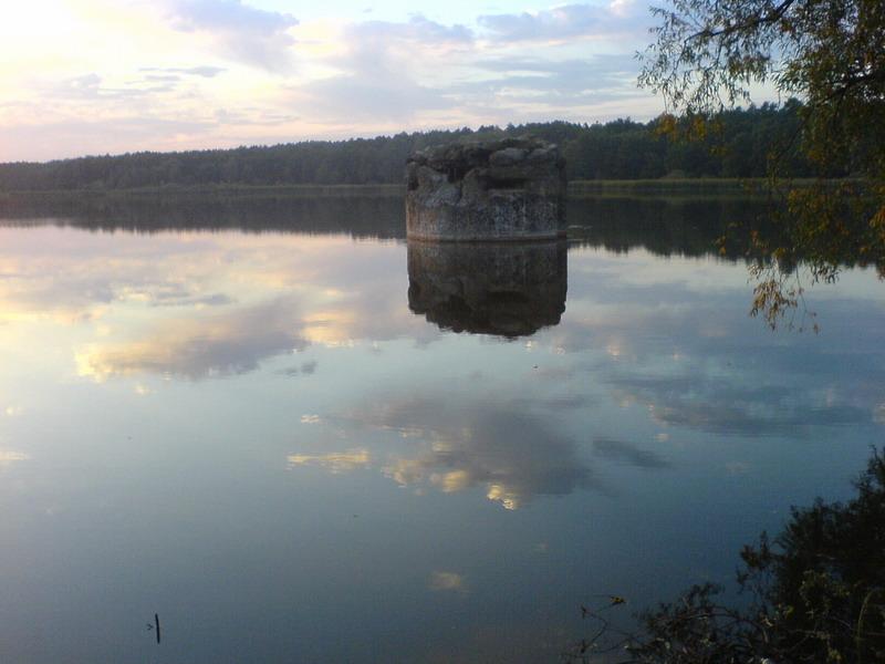    -     23.09.06 ($272)