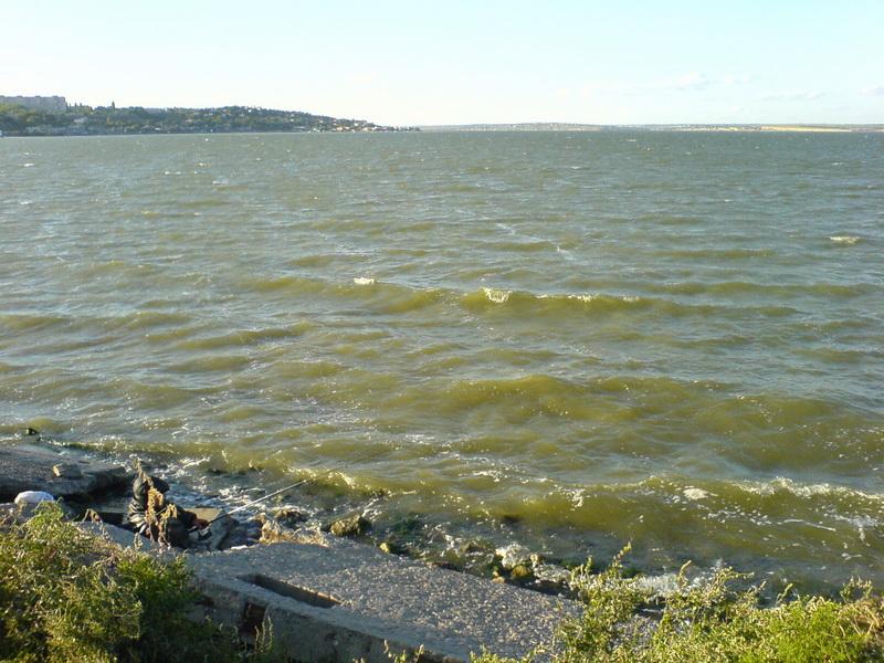    -  9-10  2006 . ($272)