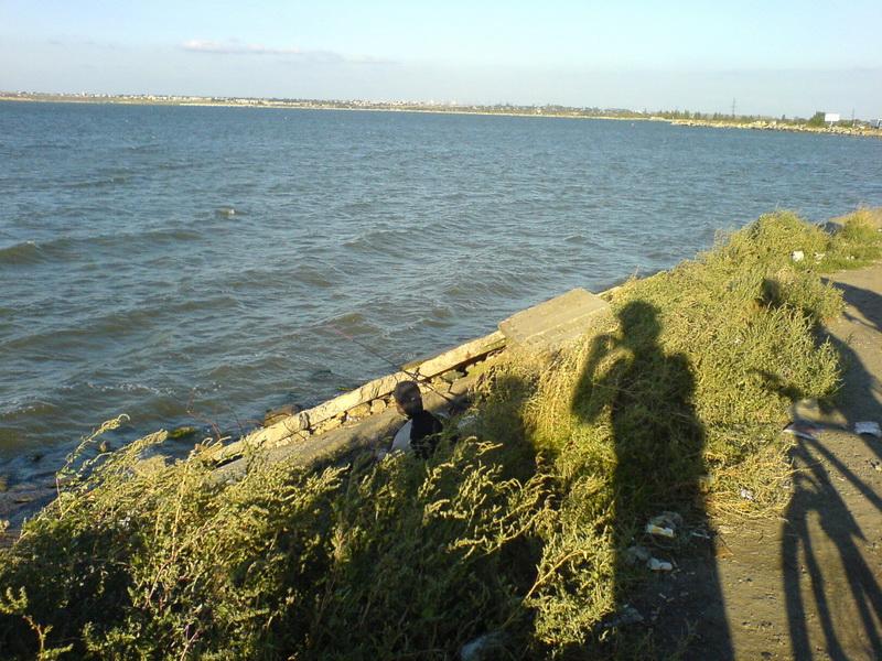    -  9-10  2006 . ($272)