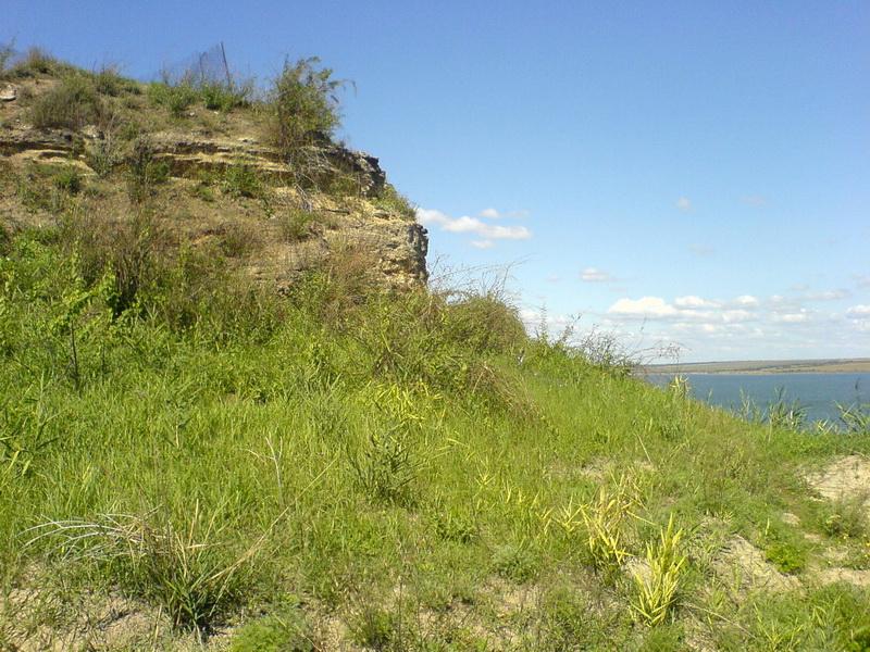    -  9-10  2006 . ($272)