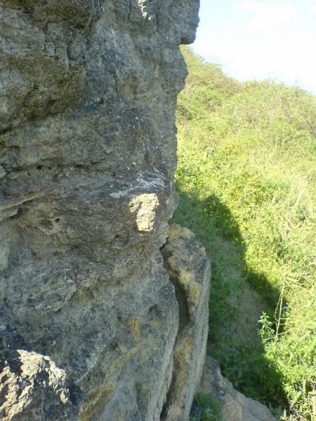    -  9-10  2006 . ($272)