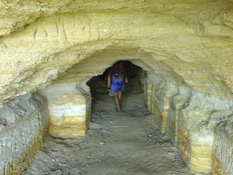    -  9-10  2006 . ($272)