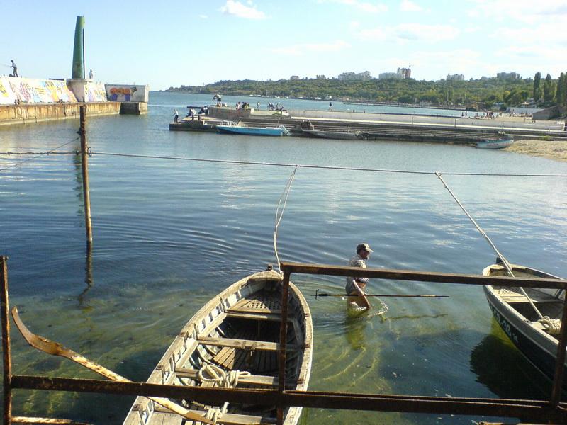    -  9-10  2006 . ($272)