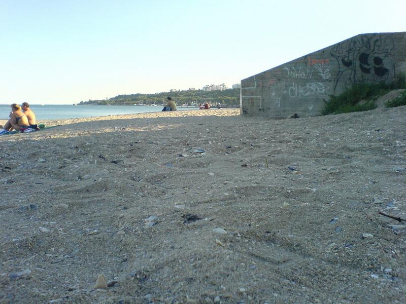    -  9-10  2006 . ($272)