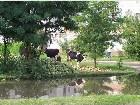 ���������� - Summer 2005 - ������� - L'viv
