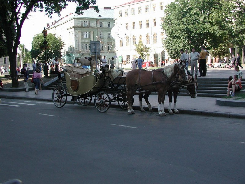    - , 4-8  2006 .    ,     :)