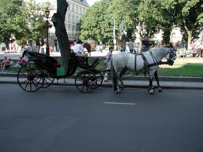    - , 4-8  2006 .    ,     :)