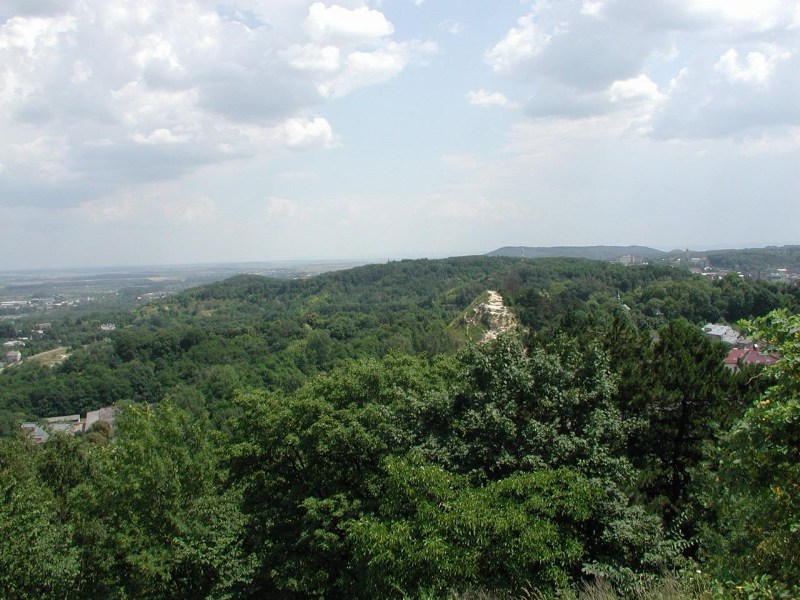    - , 4-8  2006 .    ,     :)