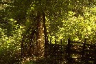 ���������� ������ ������� - �� ���������� ��������� ����� � 24,08,06-27,08,06