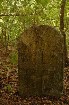���������� ������ ������� - �� ���������� ��������� ����� � 24,08,06-27,08,06