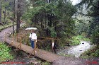 ���������� ������ ������� - ���������� ����������� �� ����������