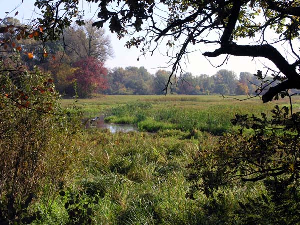 ���� ������ ���� - ����� ������ (����), ������ � 2 ����� �� ������� �������_2