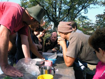 ���� ������ ���� - ����� ������ (����), ������ � 2 ������������ ����������� �������� � ������������.