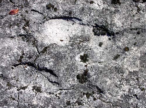 ���� ������ ���� - ����� ������ (����), ������ � 2 ��������� �����.