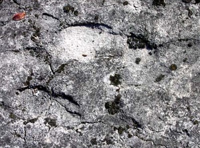 ���� ������ ���� - ����� ������ (����), ������ � 2 ��������� �����.