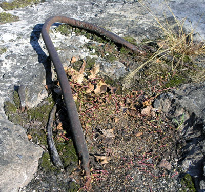 ���� ������ ���� - ����� ������ (����), ������ � 2 �������� �� ������� ����� �������.