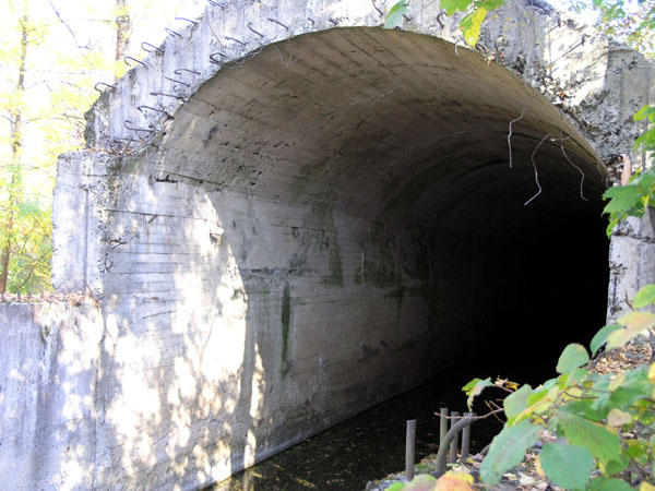 ���� ������ ���� - ����� ������ (����), ������ � 2 ������ � 2. �������.